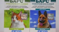 Використання протипухлинних установ barça від тарганів